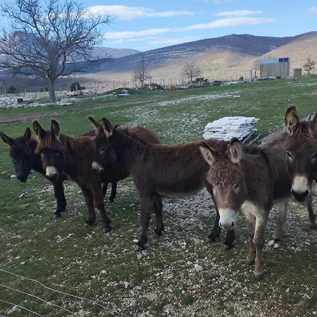 Stone House With Jacuzzi 