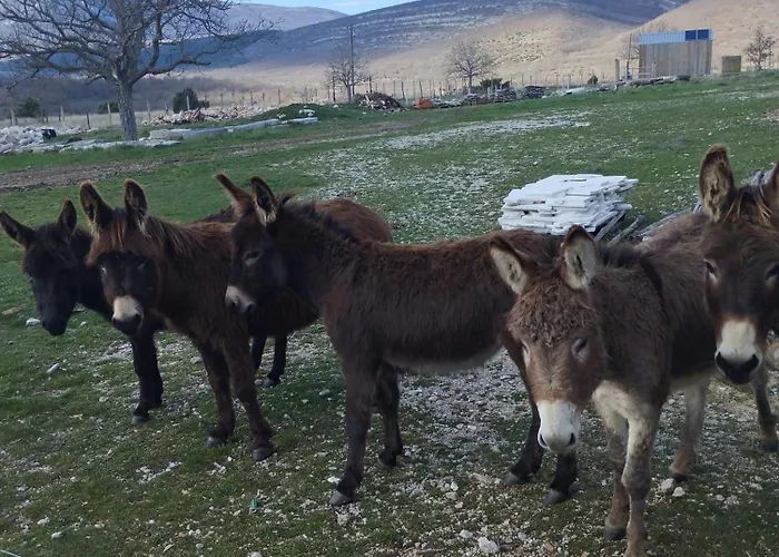 Stone House With Jacuzzi 